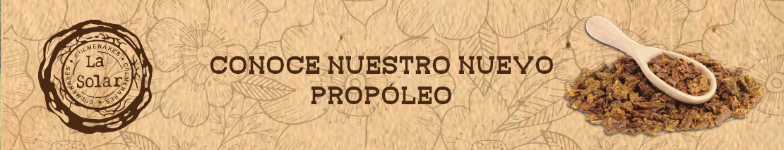 Recetario Propóleo